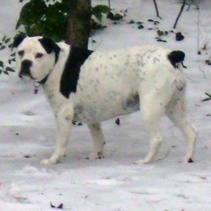 Meet your Posher, Craig